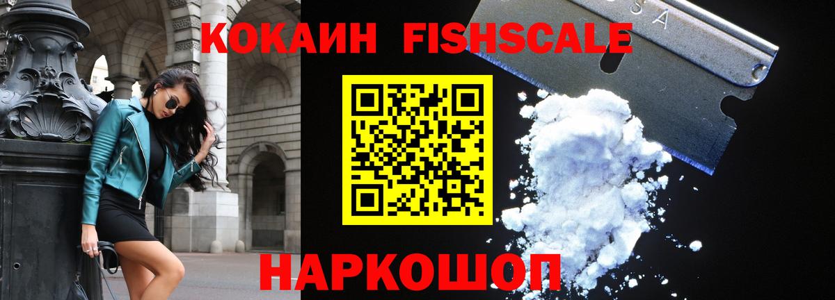 COCAIN Fish Scale Сочи