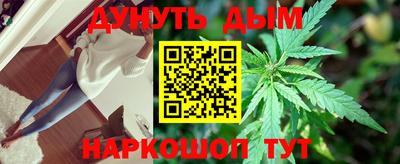 дмт Шелехов