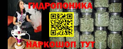 амф Шахты