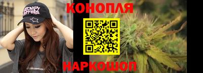 амф Шахты