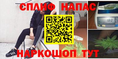 амф Шахты
