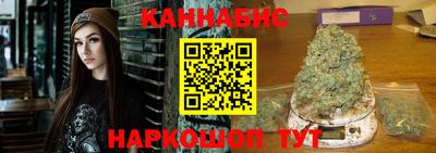 дмт Шелехов