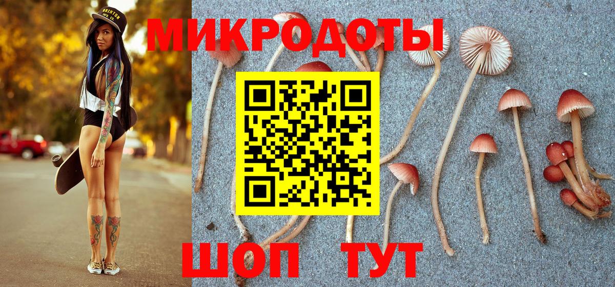 Псилоцибиновые грибы Psilocybe Сочи