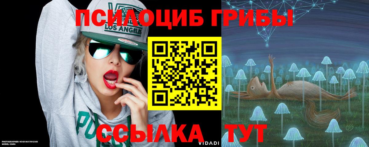 Галлюциногенные грибы прущие грибы  Вход с VPN  Сочи 